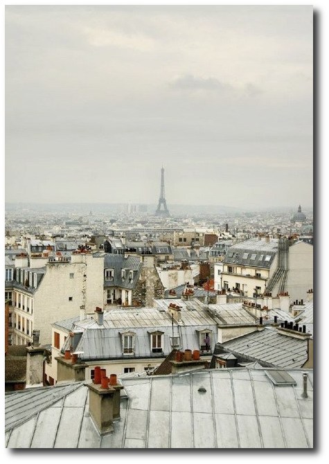 A View From The Paris Rooftops