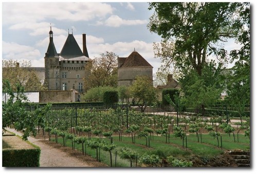 Chateau of Talcy - Vegetable garden