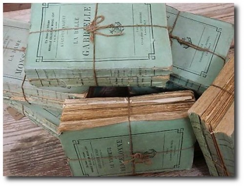 French Paper Back Books From English Country Antiques In NY