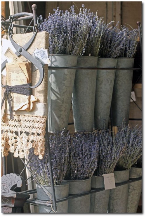 French flower buckets in zinc